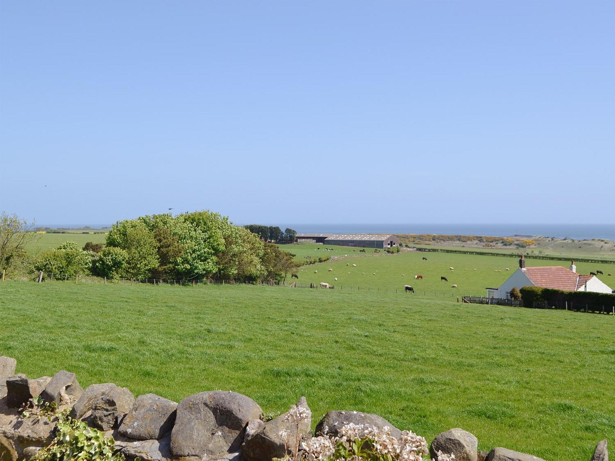 Eider Cottage Embleton  Exteriör bild